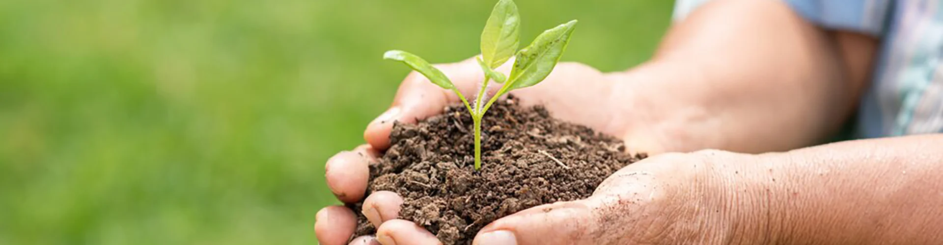Sustentabilidade