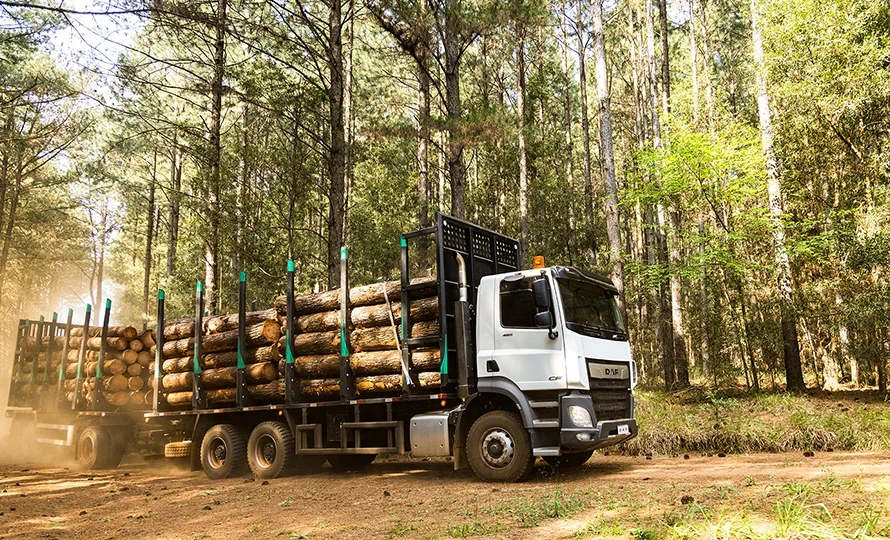 foto890_46524 foto890_46524