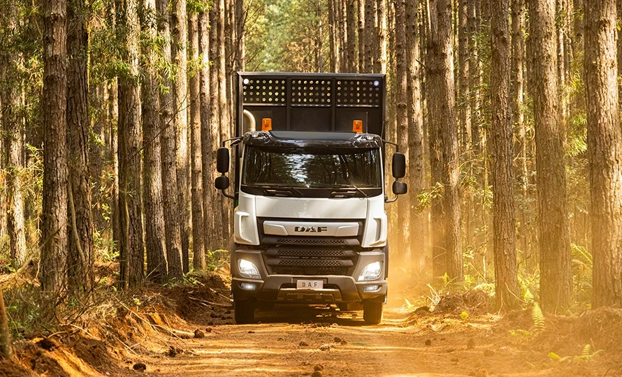 foto890_46525 foto890_46525