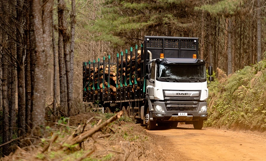 foto890_46526 foto890_46526