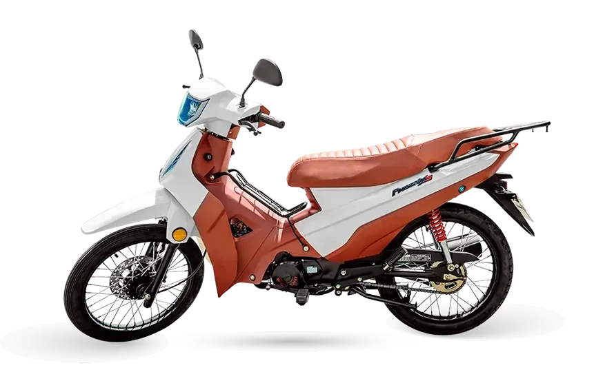 Imagem do modelo Phoenix S