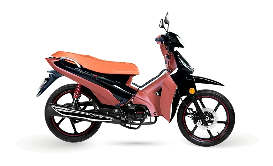 Imagem do modelo Phoenix S EFI