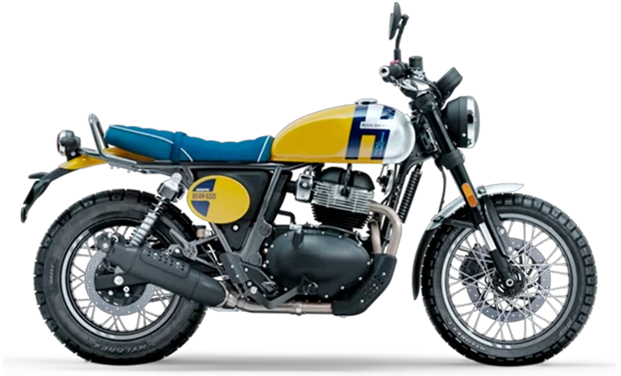 Bear 650 - A partir de